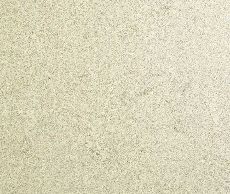 Kashmir White